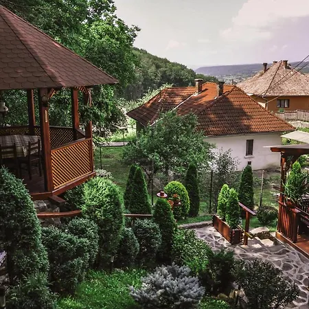 Pensiunea Eva 3*